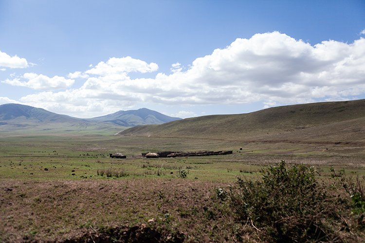 TZA ARU Ngorongoro 2016DEC23 045